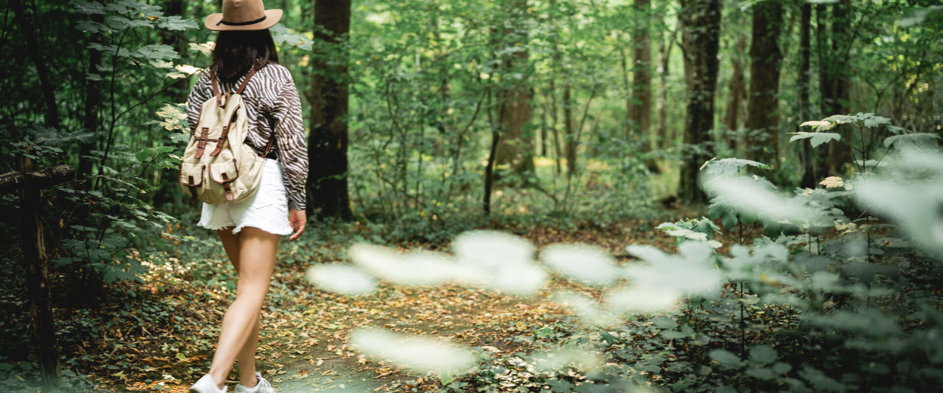 promenade en foret