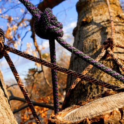 faire de l'accrobranche en pays loudunais