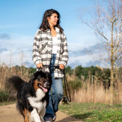 Vacances en Pays loudunais avec son chien