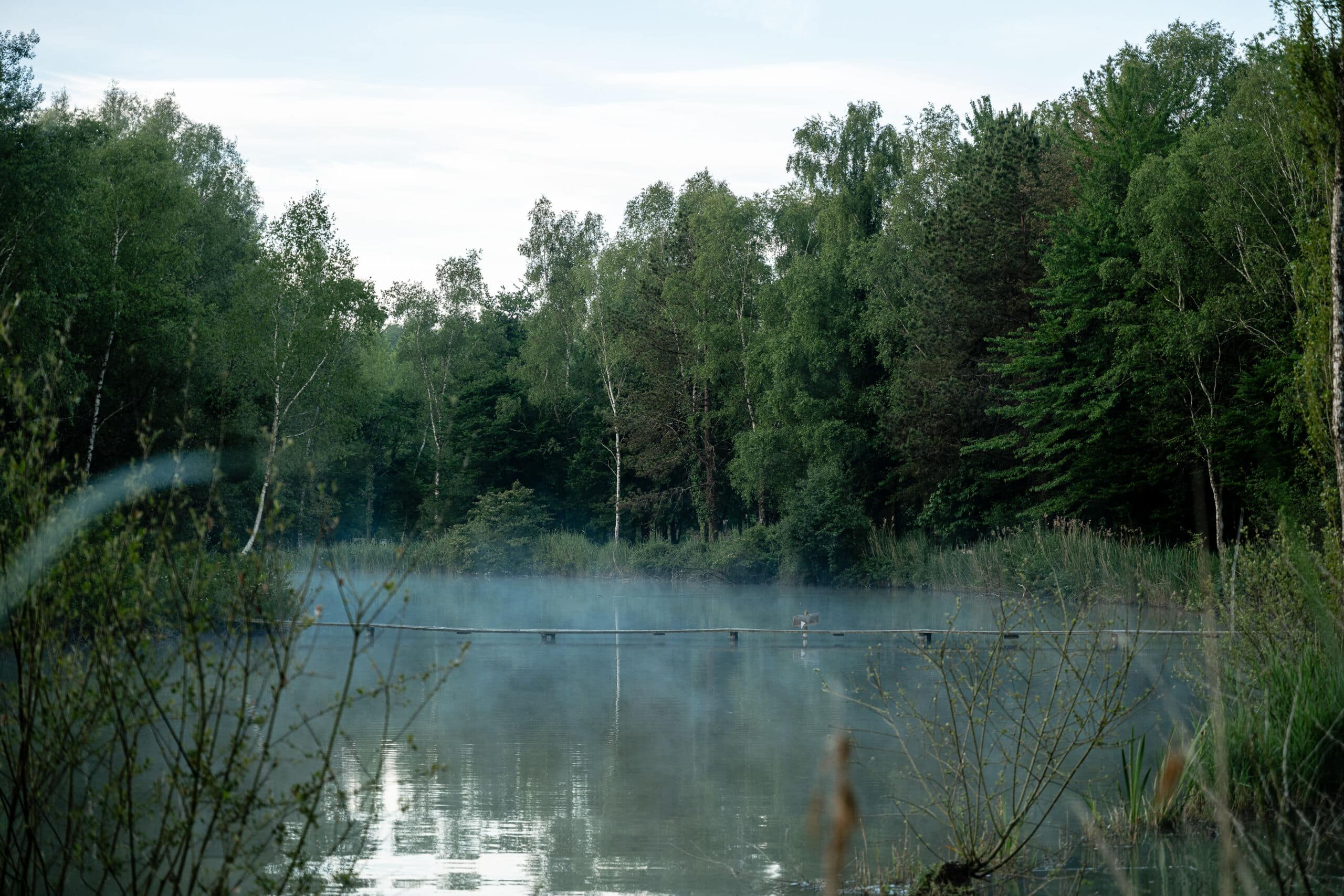 site naturel de Monts sur Guesnes