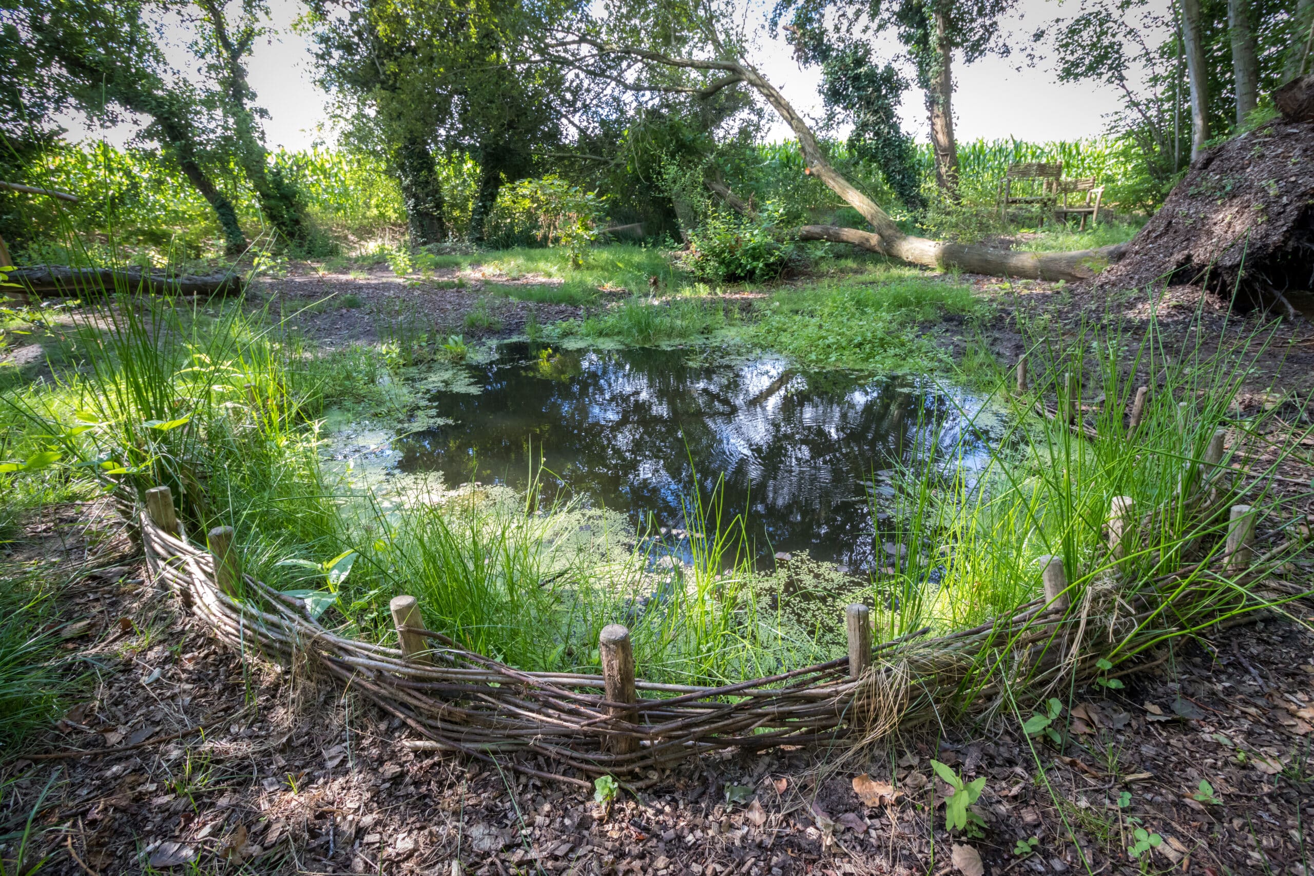 Sources Taille Petit