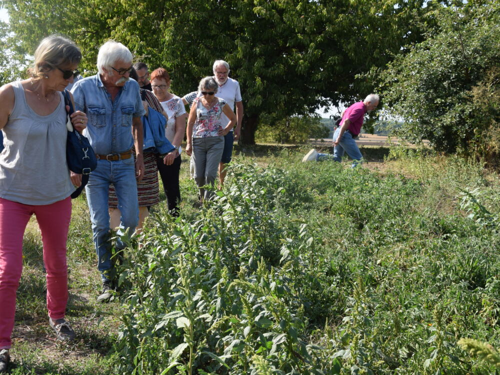 01_2018 09 01 Frontenay Le voyage de la tomate (27)