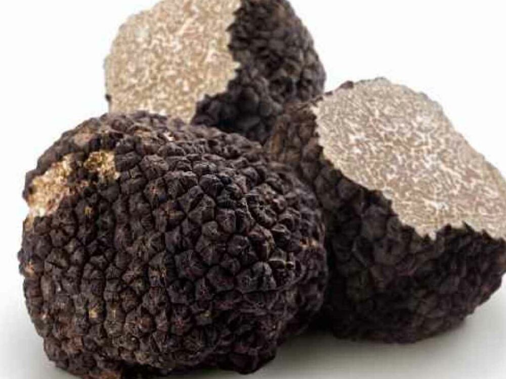 truffes