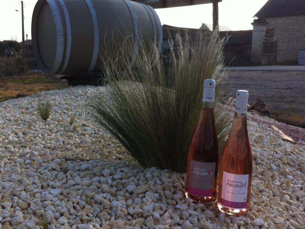 Domaine de la Neuraye.jpg_1