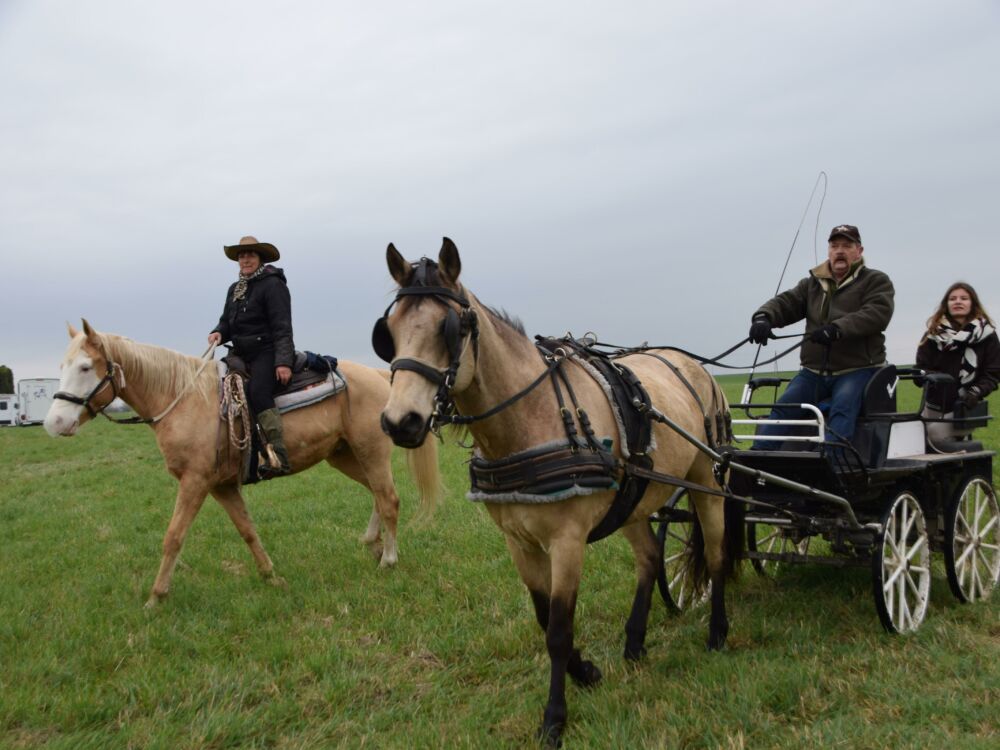 15_Sabots de la Dive à Martaizé.jpg_1