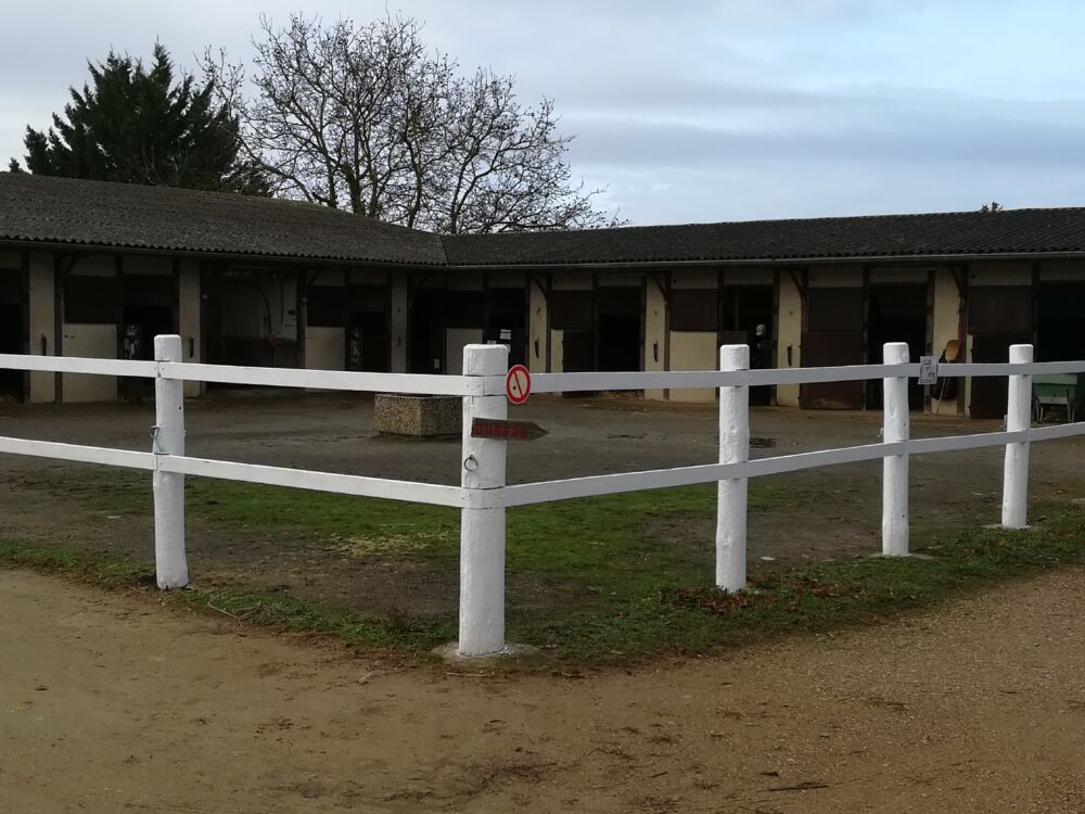 13_Club Hippique Loudun.jpg_1