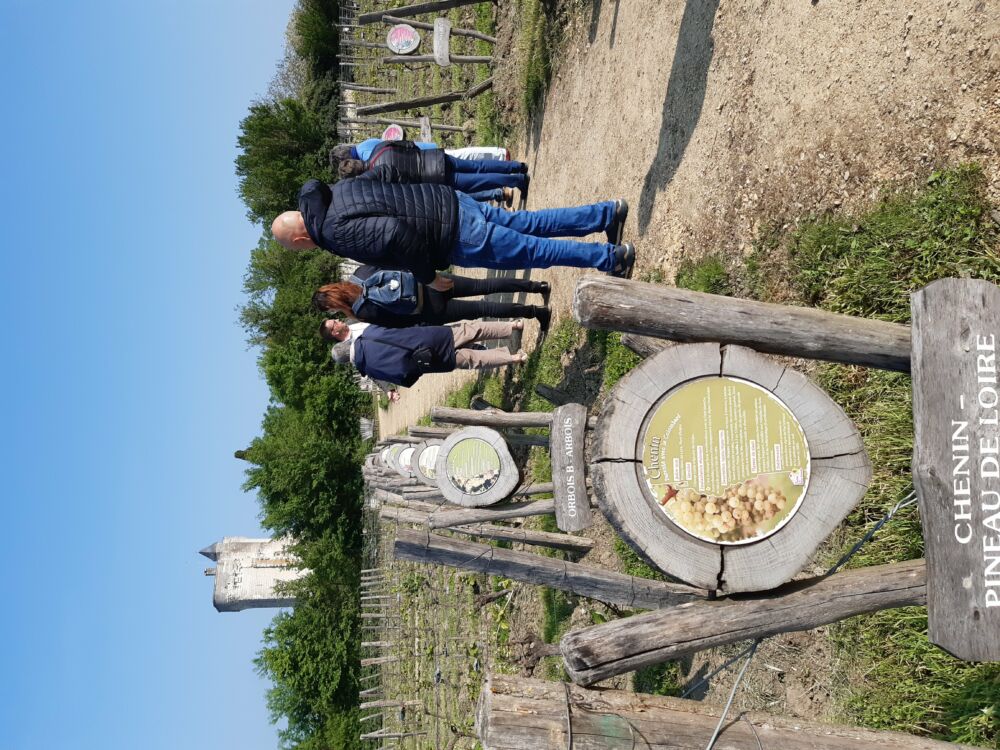 CURCAY SUR DIVE Secrets de Pays_Les Treilles de la Reine Blanche_Curçay-sur-Dive_30 avril 2022