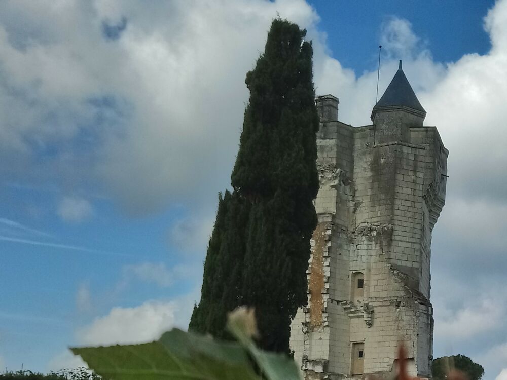 CURCAY SUR DIVE_guide secteur 2023