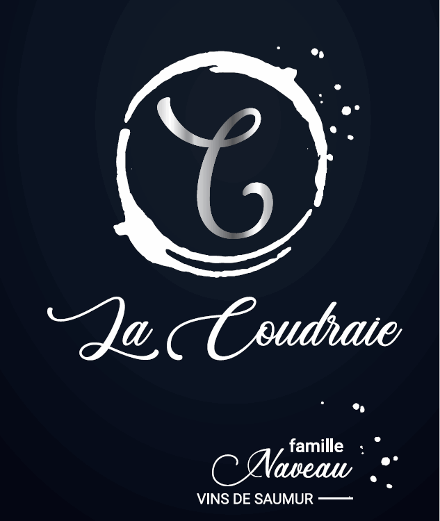 Capture d'écran 2024-02-05 161042