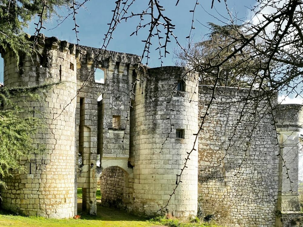Château de la Roche-Martel (2)