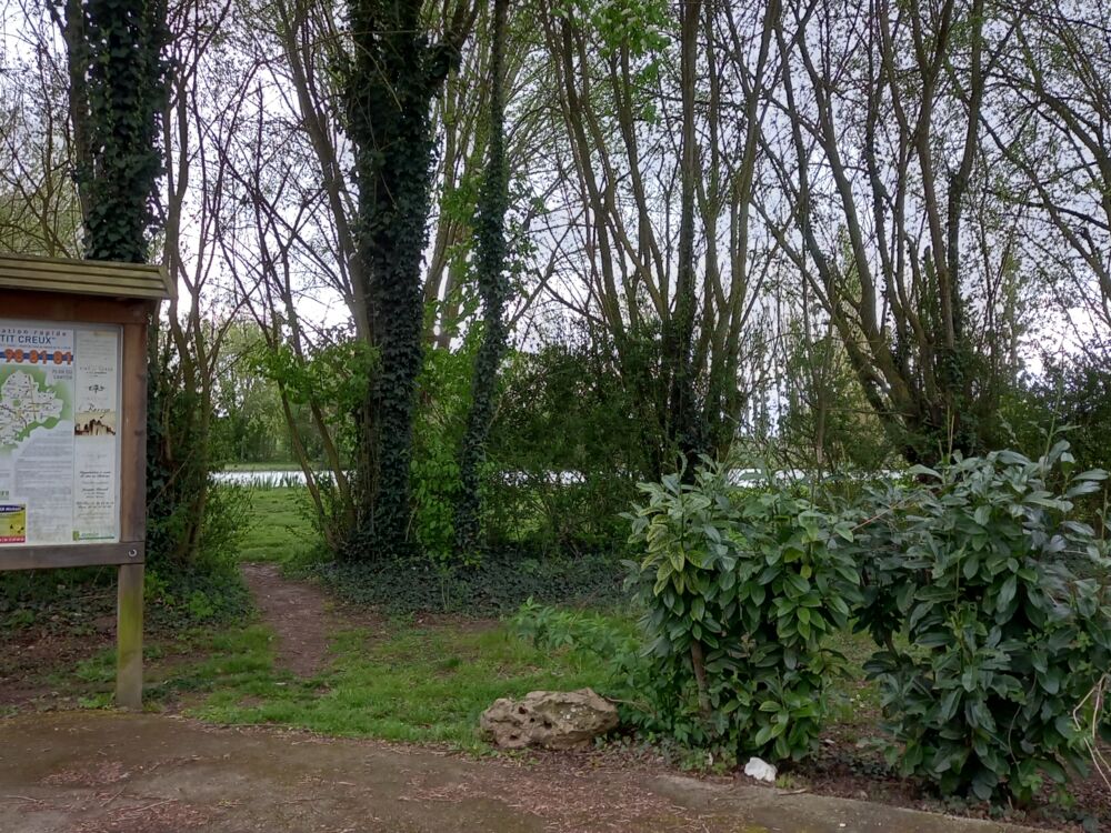 Etang communal Les Trois-Moutiers_2