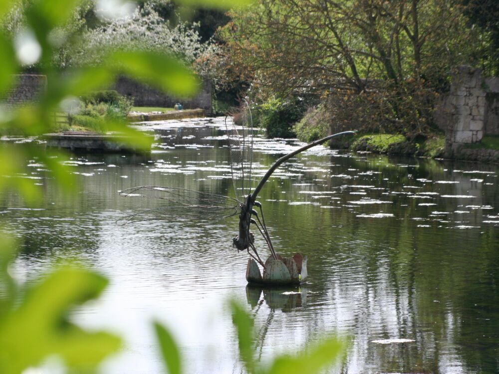 La Grimaudière - la libellule