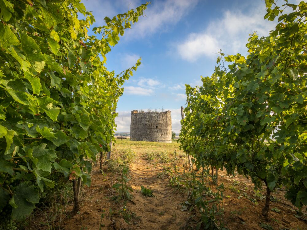 POUANCAY Point de vue Pouançay
