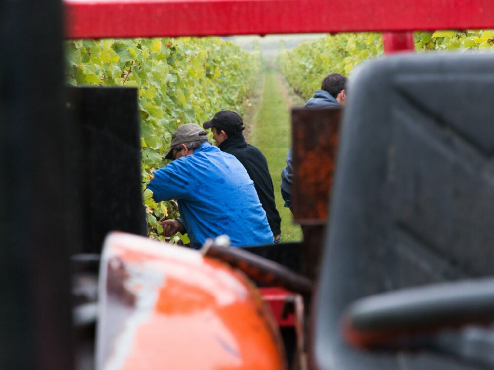 03-Vallet S Père & Fils - St-Léger-de-Montbrillais - 2020