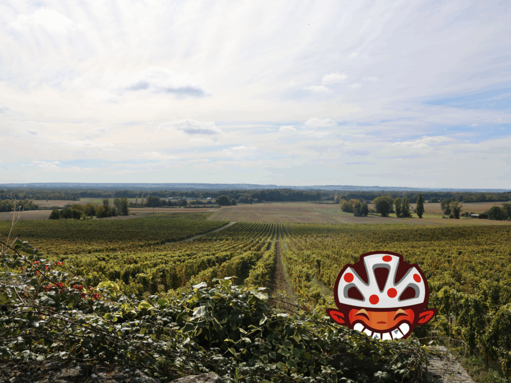 Visuel Terra Aventura SIT - Saix/Roiffé