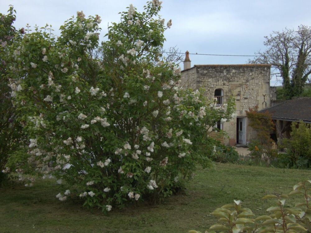 WhatsApp Image 2024-05-05 at 12.38.40 (5)