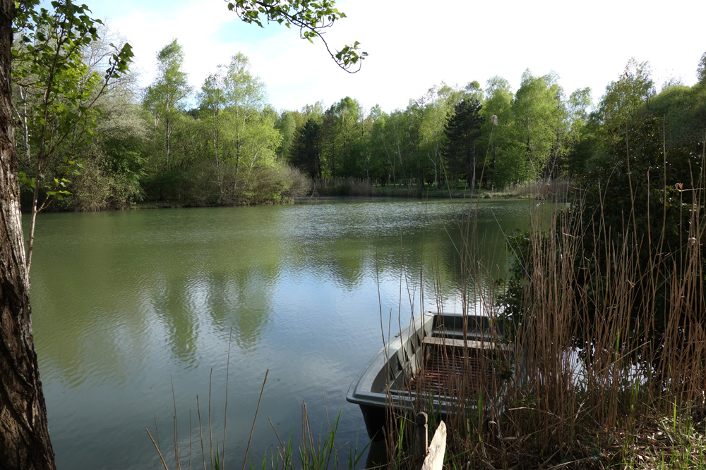 Etang de pêche communal_1
