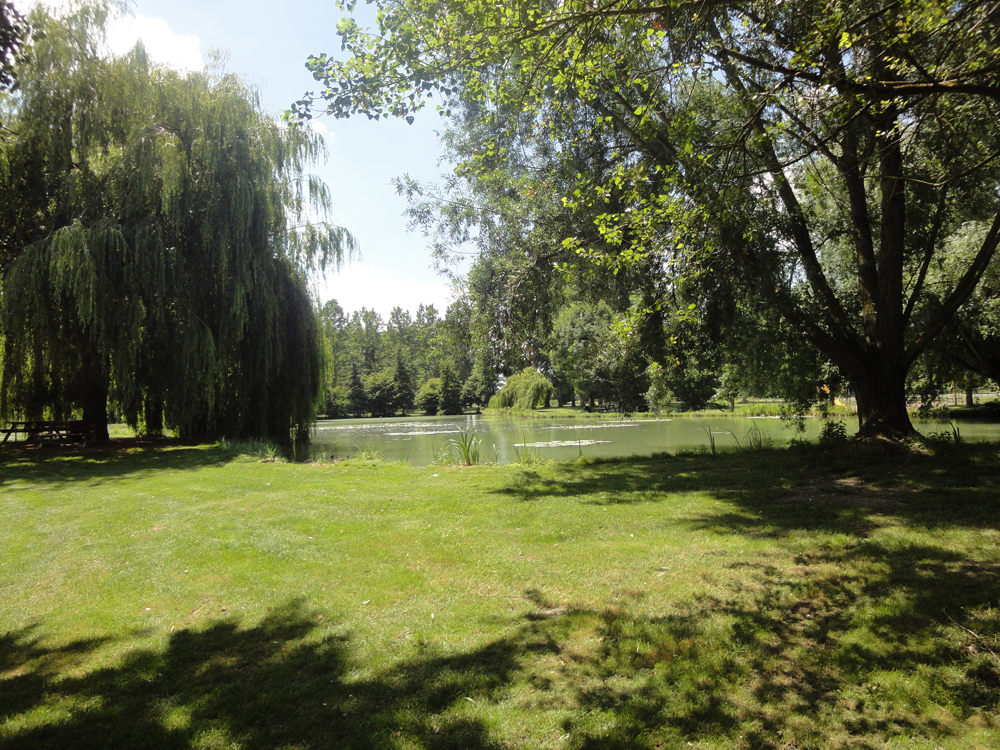 Etang de pêche communal_1